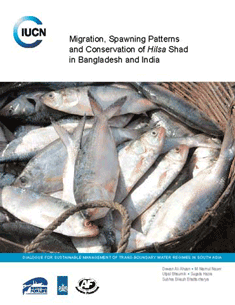 Migration, Spawning Patterns and Conservation of Hilsa Shad in B